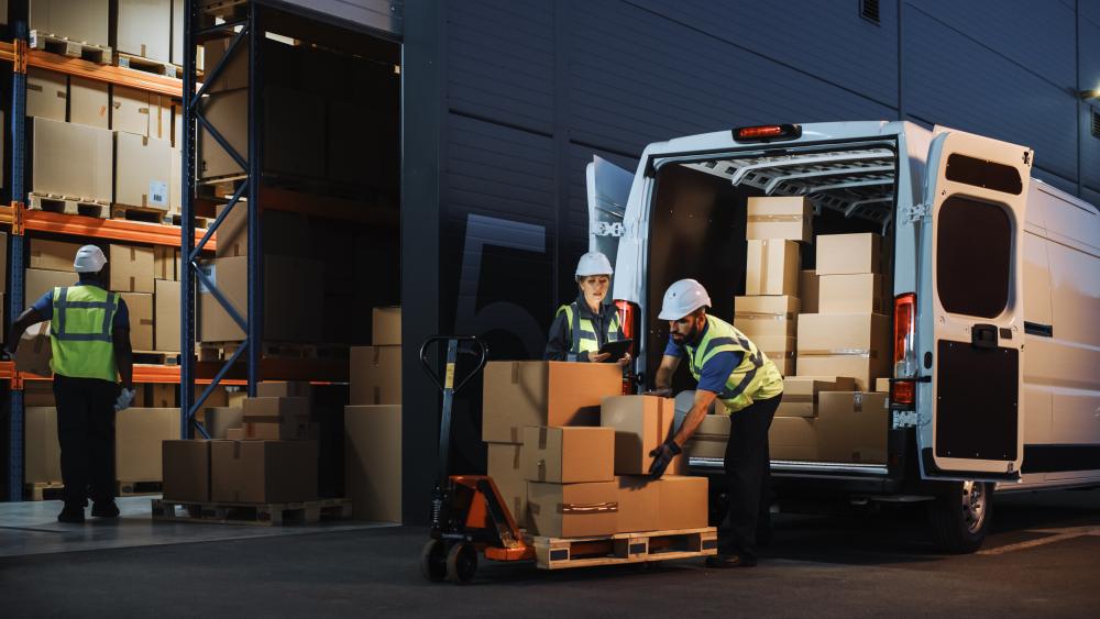 Logistic